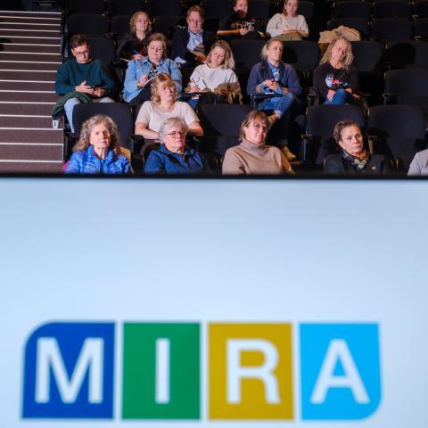 Mynd, MIRA, malþingsgestir